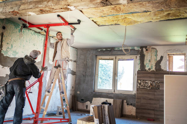 Best Insulation Maintenance and Repair in Jackson, MN